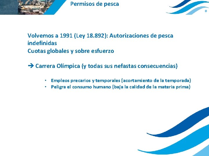 Permisos de pesca Volvemos a 1991 (Ley 18. 892): Autorizaciones de pesca indefinidas Cuotas
