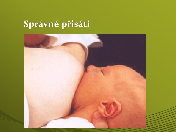 Správné přisátí 