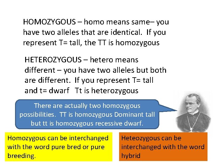 HOMOZYGOUS – homo means same– you have two alleles that are identical. If you