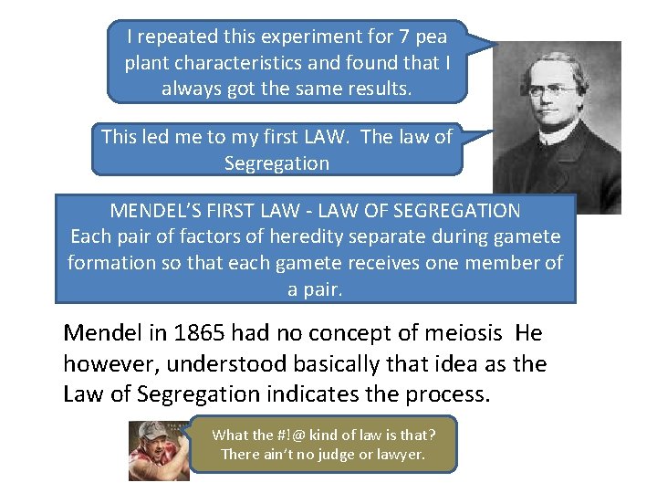 I repeated this experiment for 7 pea plant characteristics and found that I always