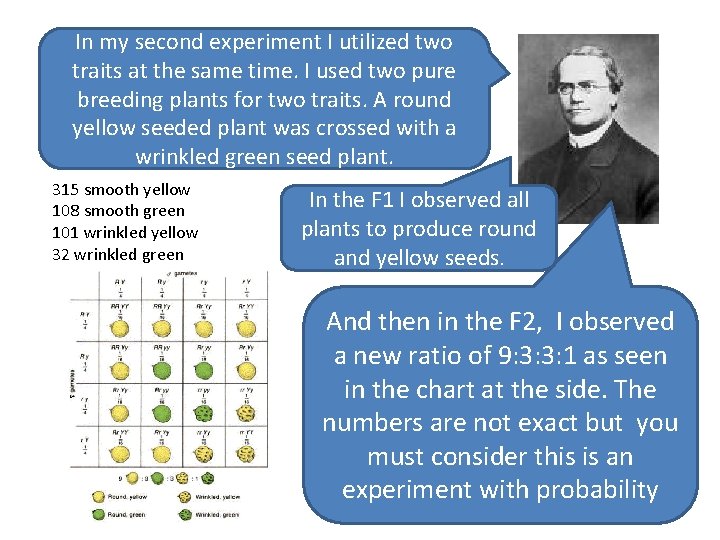 In my second experiment I utilized two traits at the same time. I used