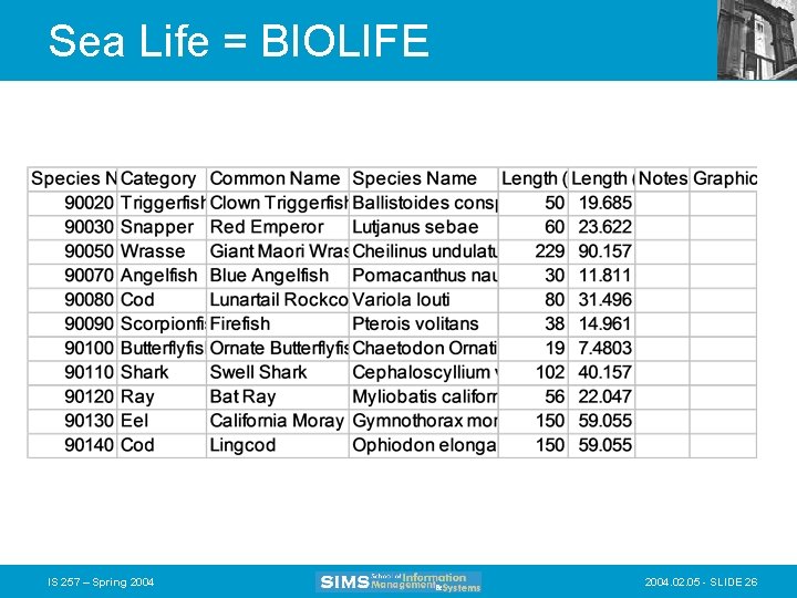 Sea Life = BIOLIFE IS 257 – Spring 2004. 02. 05 - SLIDE 26