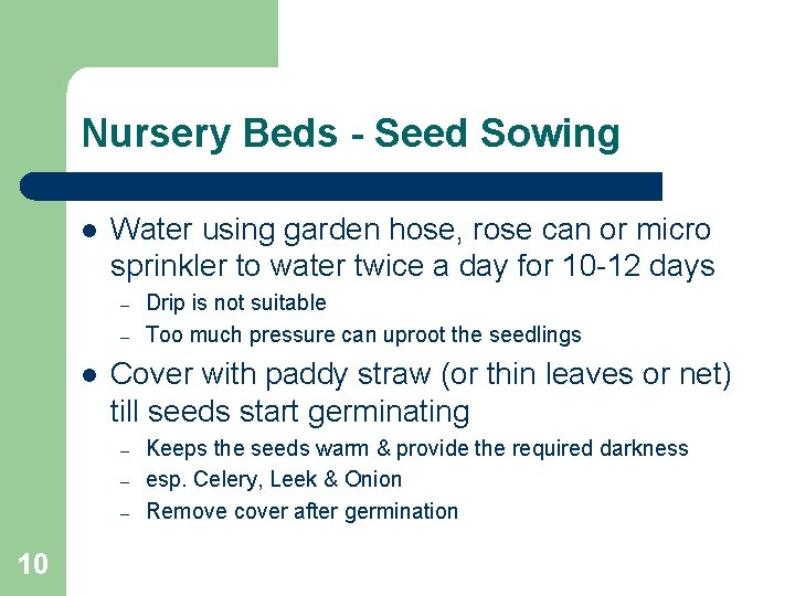 Nursery Beds - Seed Sowing l Water using garden hose, rose can or micro