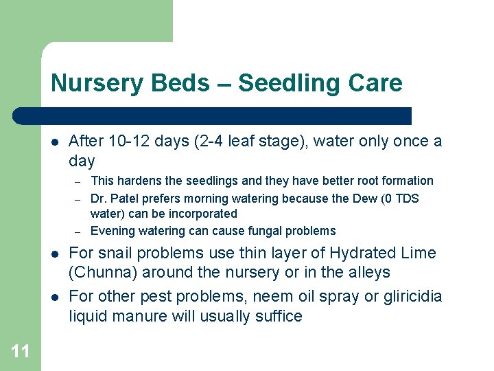 Nursery Beds – Seedling Care l After 10 -12 days (2 -4 leaf stage),