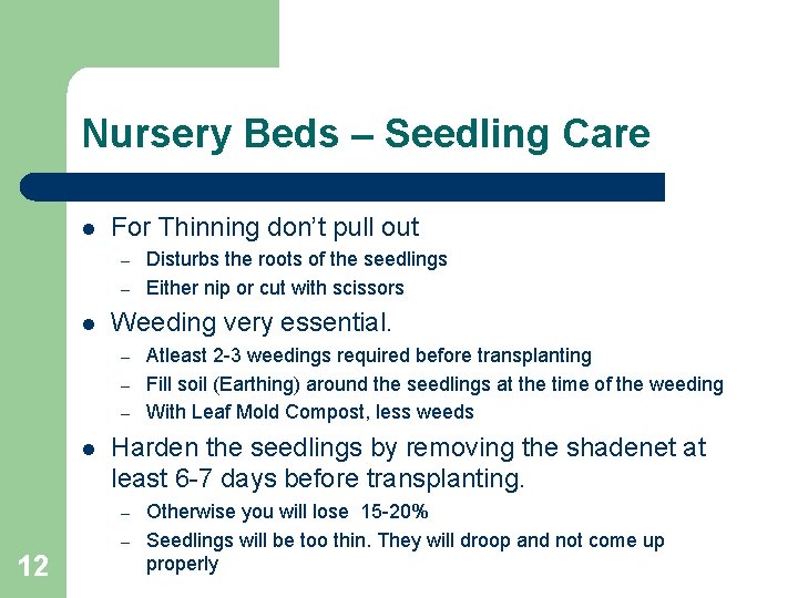 Nursery Beds – Seedling Care l For Thinning don’t pull out – – l