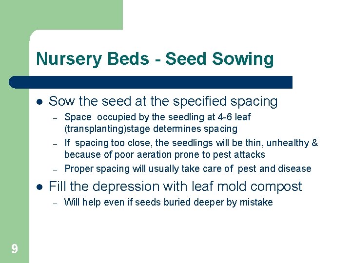 Nursery Beds - Seed Sowing l Sow the seed at the specified spacing – Nursery Beds - Seed Sowing l Sow the seed at the specified spacing –