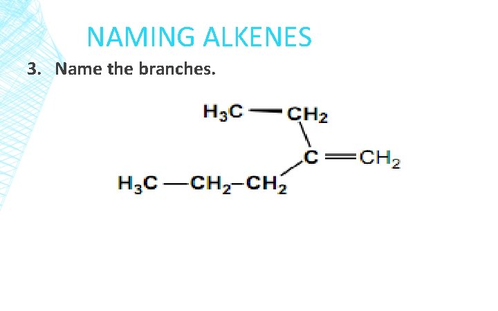 NAMING ALKENES 3. Name the branches. 