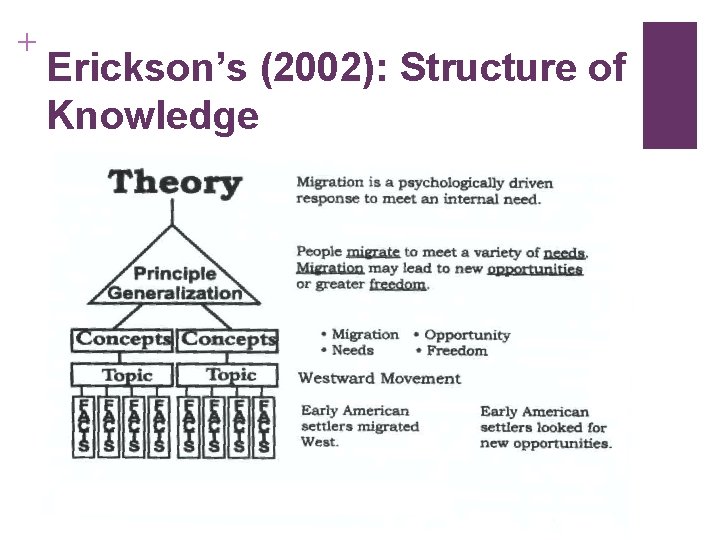 + Erickson’s (2002): Structure of Knowledge 