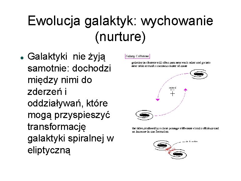 Ewolucja galaktyk: wychowanie (nurture) Galaktyki nie żyją samotnie: dochodzi między nimi do zderzeń i