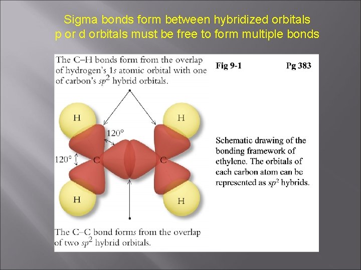 Sigma bonds form between hybridized orbitals p or d orbitals must be free to