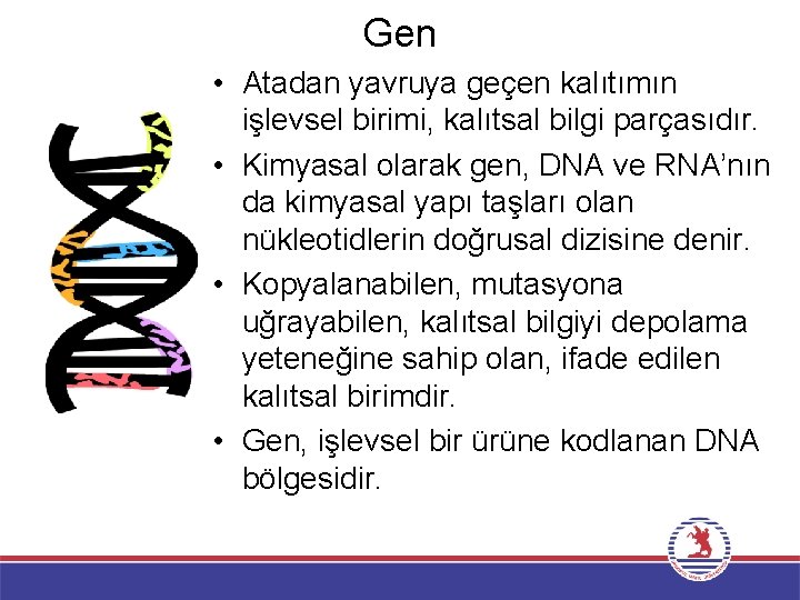 Gen • Atadan yavruya geçen kalıtımın işlevsel birimi, kalıtsal bilgi parçasıdır. • Kimyasal olarak