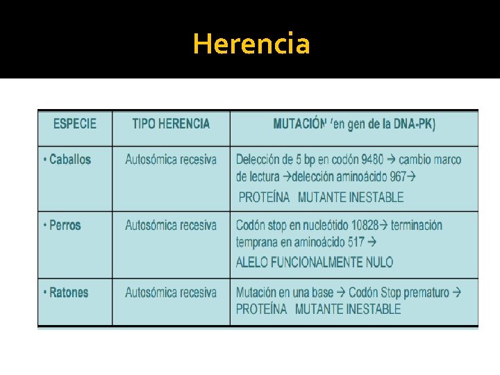 Herencia 