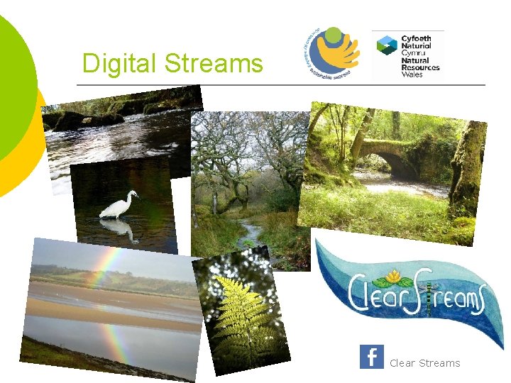 Digital Streams Clear Streams 