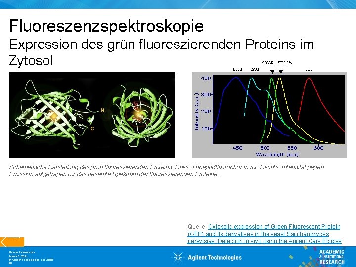 Fluoreszenzspektroskopie Expression des grün fluoreszierenden Proteins im Zytosol Schematische Darstellung des grün fluoreszierenden Proteins.