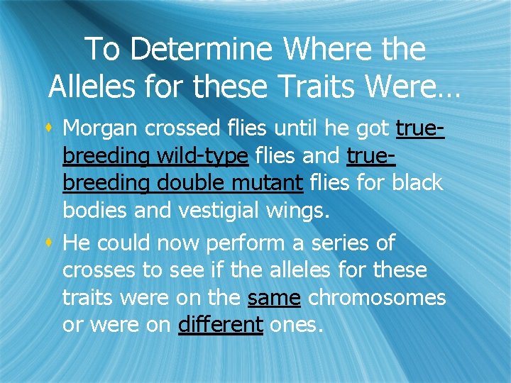 To Determine Where the Alleles for these Traits Were… s Morgan crossed flies until