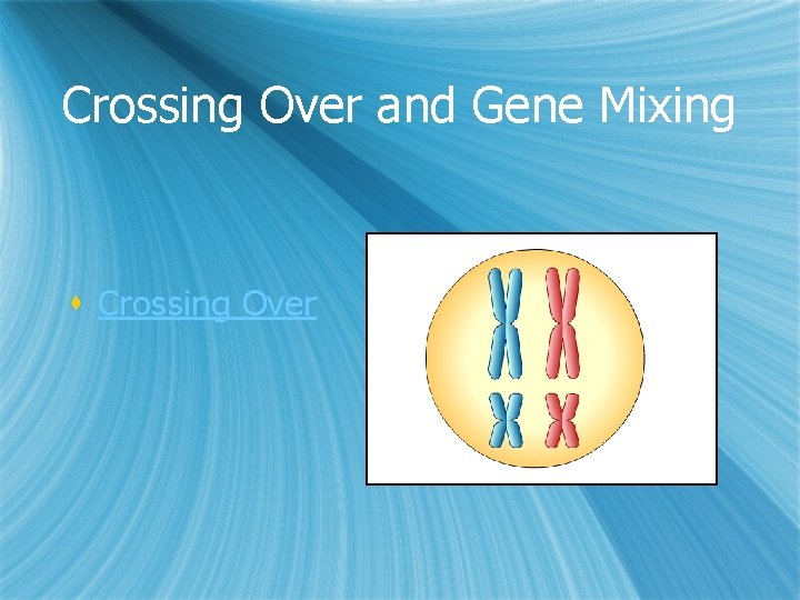 Crossing Over and Gene Mixing s Crossing Over 