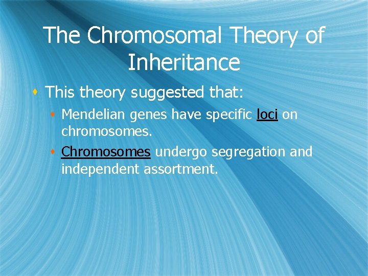 The Chromosomal Theory of Inheritance s This theory suggested that: s Mendelian genes have