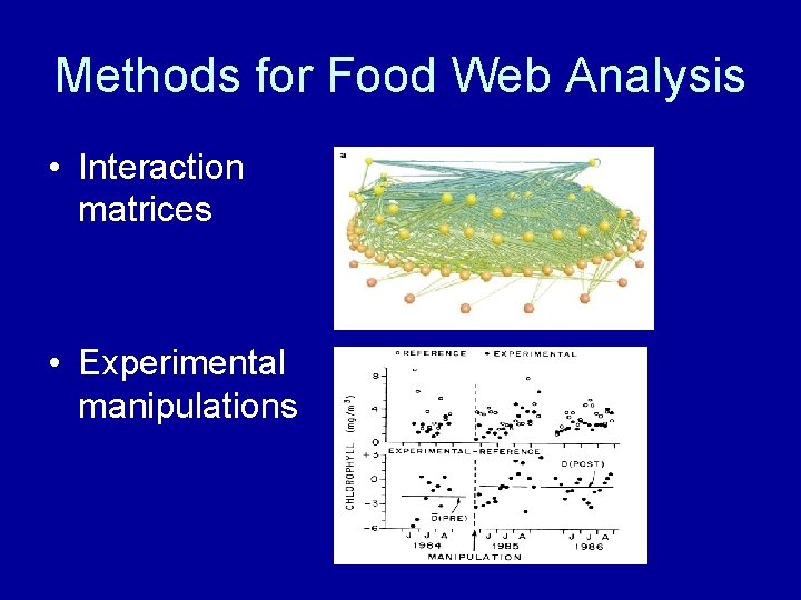 Methods for Food Web Analysis • Interaction matrices • Experimental manipulations 