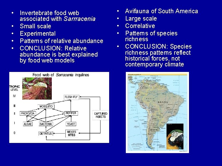  • Invertebrate food web associated with Sarrracenia • Small scale • Experimental •