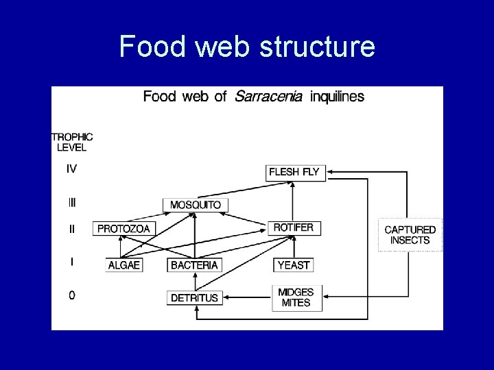 Food web structure 