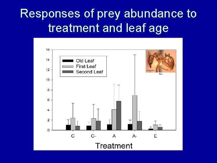 Responses of prey abundance to treatment and leaf age 