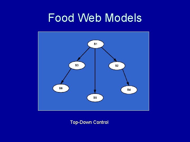 Food Web Models Top-Down Control 