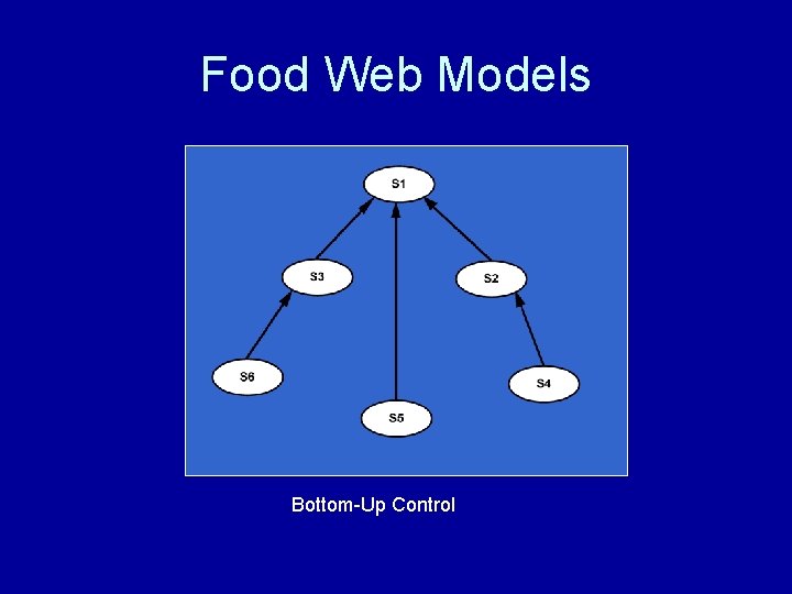 Food Web Models Bottom-Up Control 