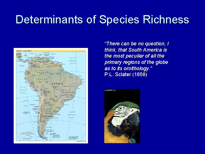 Determinants of Species Richness “There can be no question, I think, that South America