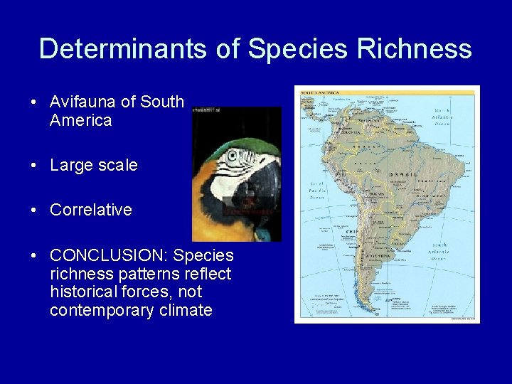 Determinants of Species Richness • Avifauna of South America • Large scale • Correlative