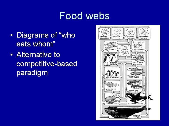 Food webs • Diagrams of “who eats whom” • Alternative to competitive-based paradigm 