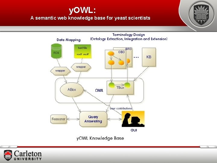 y. OWL: A semantic web knowledge base for yeast scientists 