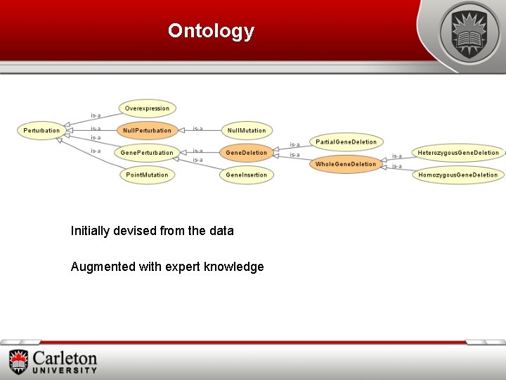 Ontology Initially devised from the data Augmented with expert knowledge 