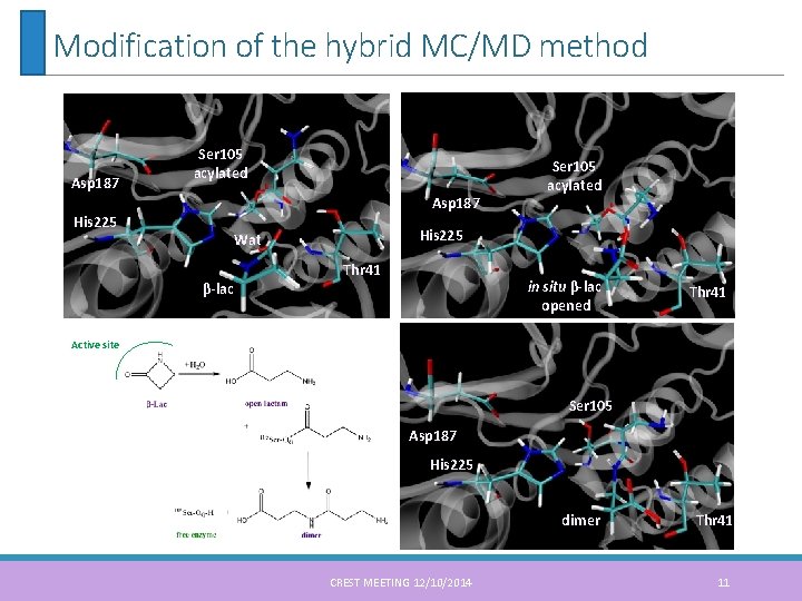 Modification of the hybrid MC/MD method Asp 187 Ser 105 acylated Asp 187 His