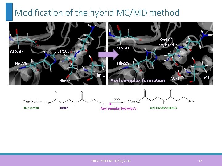 Modification of the hybrid MC/MD method Asp 187 Ser 105 acylated His 225 Thr