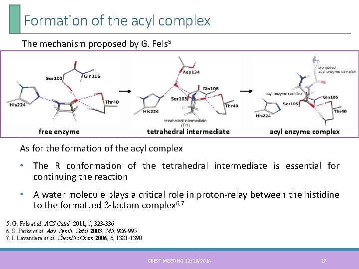 Formation of the acyl complex The mechanism proposed by G. Fels 5 free enzyme