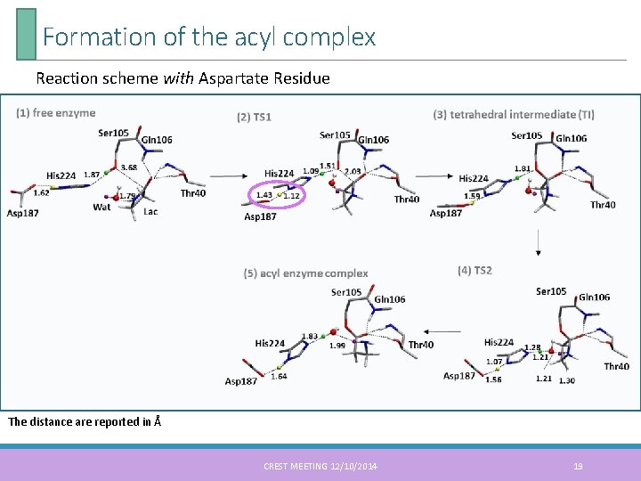 Formation of the acyl complex Reaction scheme with Aspartate Residue The distance are reported