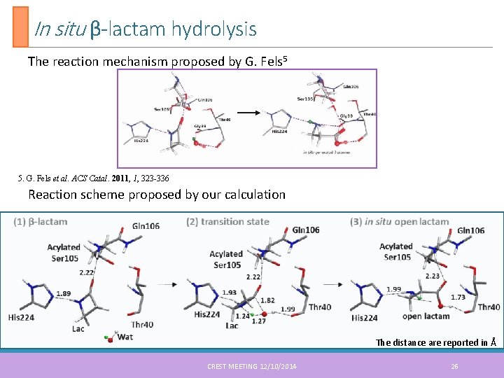 In situ β-lactam hydrolysis The reaction mechanism proposed by G. Fels 5 5. G.