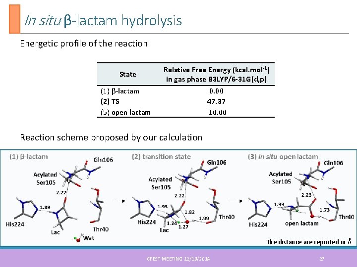 In situ β-lactam hydrolysis Energetic profile of the reaction State (1) β-lactam (2) TS