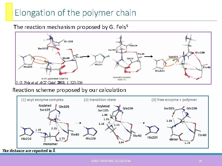 Elongation of the polymer chain The reaction mechanism proposed by G. Fels 5 5.
