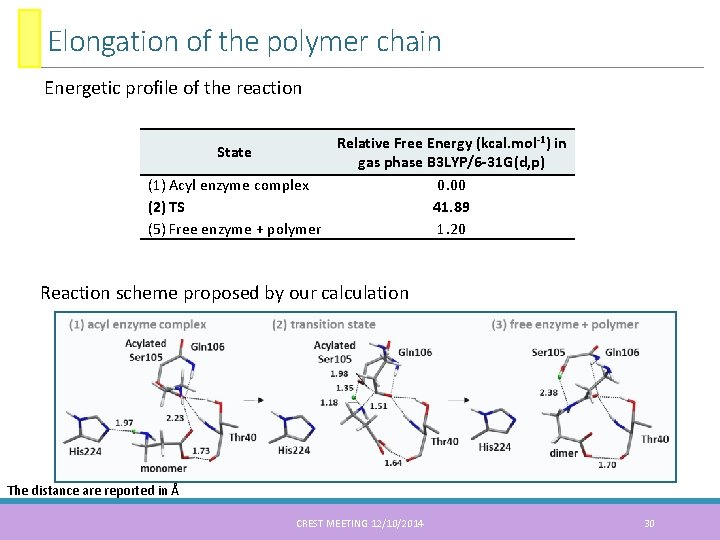 Elongation of the polymer chain Energetic profile of the reaction Relative Free Energy (kcal.