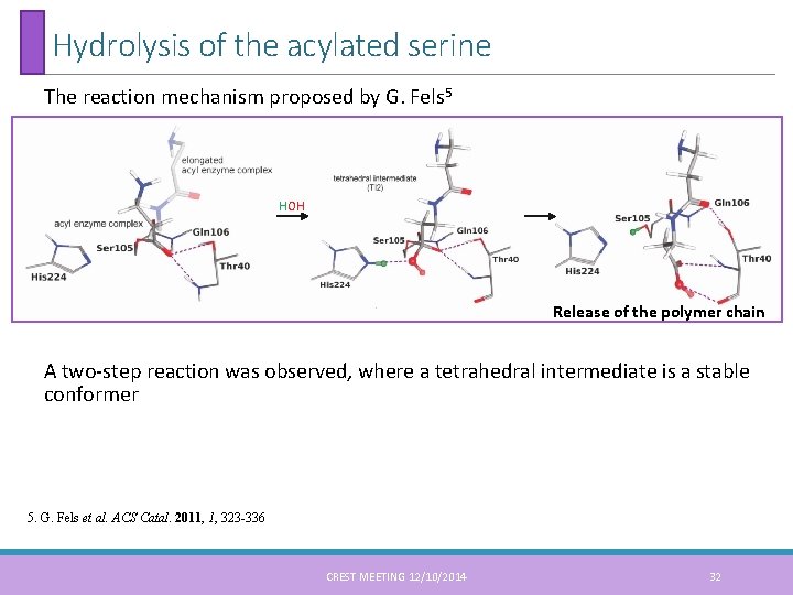 Hydrolysis of the acylated serine The reaction mechanism proposed by G. Fels 5 HOH