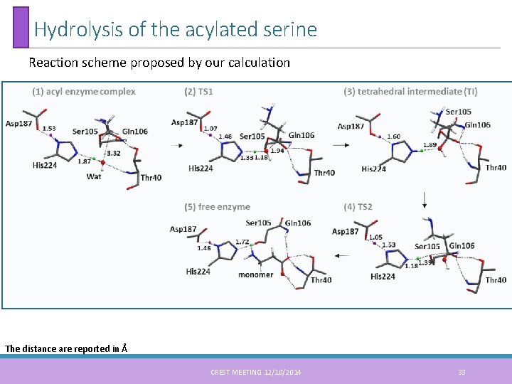 Hydrolysis of the acylated serine Reaction scheme proposed by our calculation The distance are