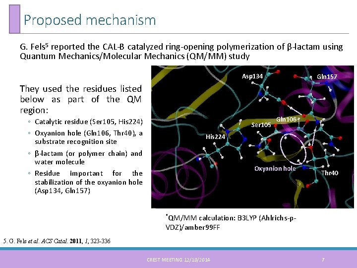 Proposed mechanism G. Fels 5 reported the CAL-B catalyzed ring-opening polymerization of β-lactam using