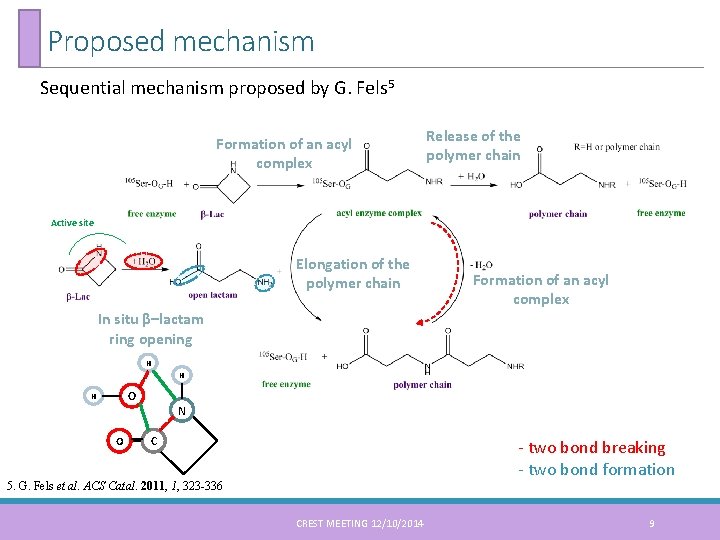 Proposed mechanism Sequential mechanism proposed by G. Fels 5 Formation of an acyl complex