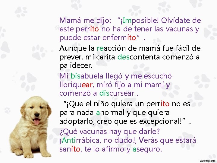 Mamá me dijo: “¡Imposible! Olvídate de este perrito no ha de tener las vacunas