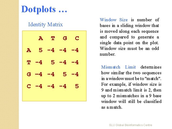 Dotplots … Identity Matrix A A T G C 5 -4 -4 -4 T