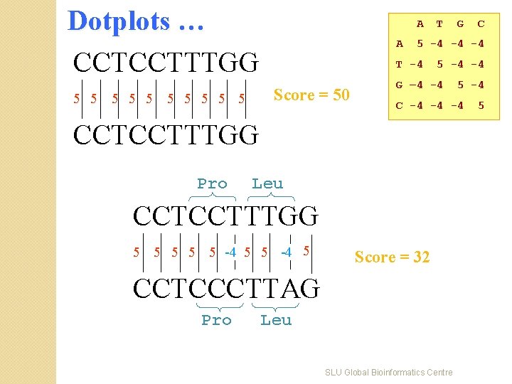 Dotplots … CCTCCTTTGG 5 5 5 A A G – 4 -4 CCTCCTTTGG Score