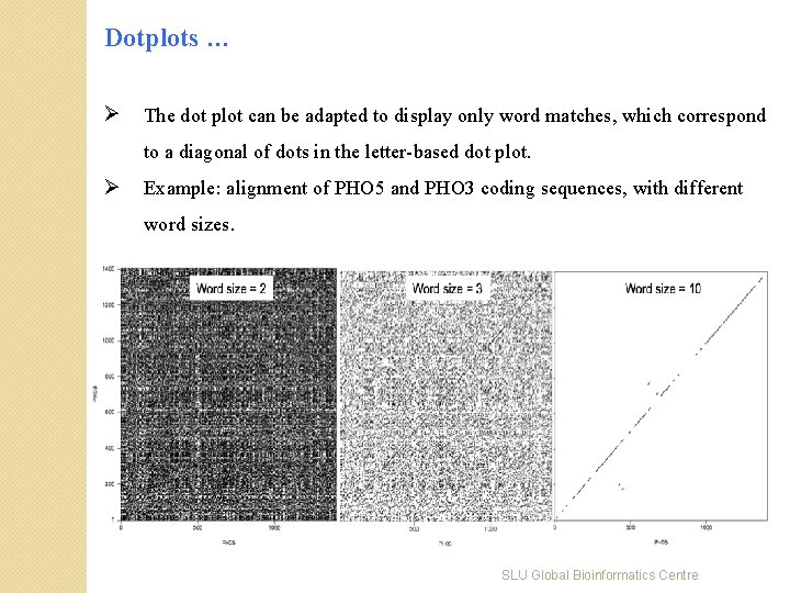 Dotplots … Ø The dot plot can be adapted to display only word matches,