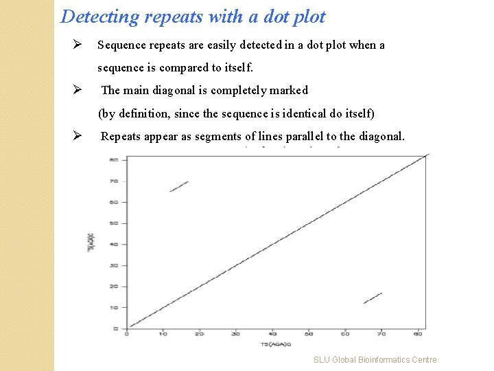 Detecting repeats with a dot plot Ø Sequence repeats are easily detected in a