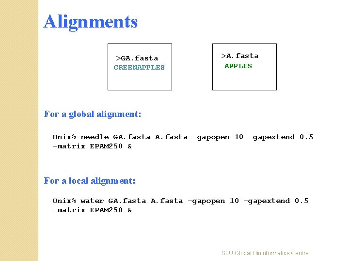 Alignments >GA. fasta GREENAPPLES >A. fasta APPLES For a global alignment: Unix% needle GA.